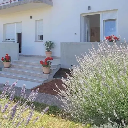 App Racy Apartment Umag